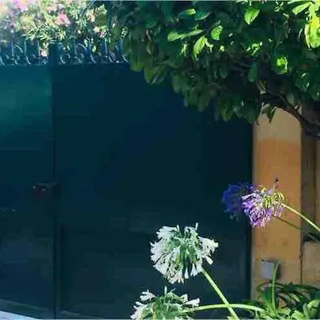 Apartment Maison De Vacances A Portissol Sur Mer *